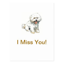 Bichon Frise Postcard