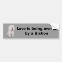 Bichon Frise Precious Bumper Sticker