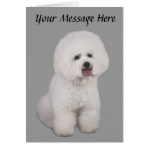Bichon Frise Precious Greeting Card