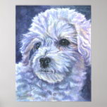 Bichon Frise Print