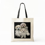 Bichon Frise Puppies Tote Bag