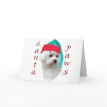 Bichon Frise Santa Paws