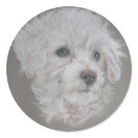 Bichon Frise Sticker