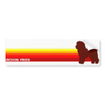 Bichon Frise With Stripes Bumper Sticker bumper stickers