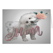 Bichon Mother Day Card