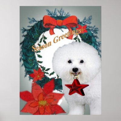 Bichon Season Greetings Art Poster by friskybiz
