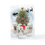 Bichon  Snowy Christmas Day Cards