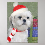 Bichon xmas gifts Poster