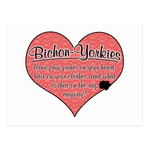 Bichon-Yorkie Paw Prints Dog Humour Post Cards