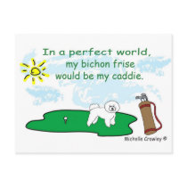 BichonFrise