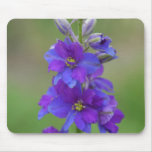 Bicolor Larkspur Mouse Mats