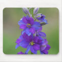 Bicolor Larkspur mousepads