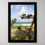 Bicycle Against Tree Posters