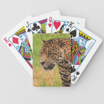 Bicycle Card Template - Customised Card Decks