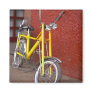 Bicycle Cycle Bicycling Cycling Banana Cruiser 2 Fridge Magnets