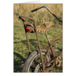Bicycle Cycle Bicycling Cycling Banana Cruiser cards