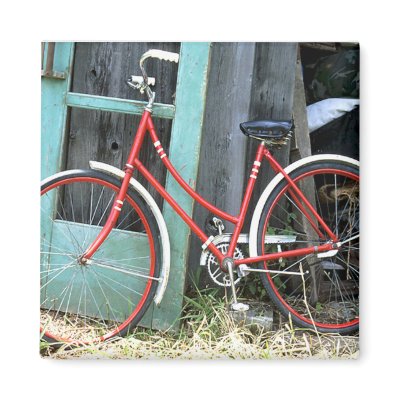 Bicycle Cycle Bicycling Cycling Old Shed Fridge Magnets by fotoshoppe