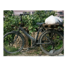Bicycle in Taipei garden, Taiwan Post Cards