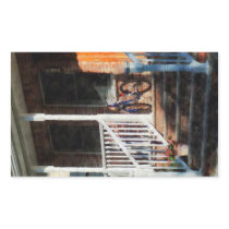 Bicycle on Porch
