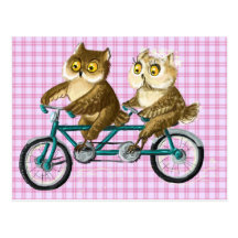 Bicycle owls post cards