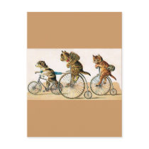 Bicycle Ride Post Card