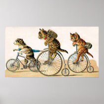 Bicycle Ride Print