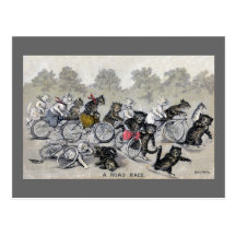 Bicycle Riding Cats Postcard