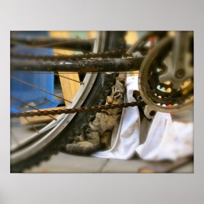 Bicycle Shelter 2 Print by denajmiller