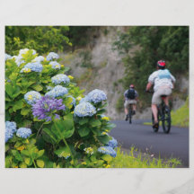 Bicycles and hydrangeas full colour flyer