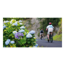 Bicycles and hydrangeas photo card template