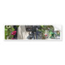 Bicycles and roses in Sweden Bumper Stickers