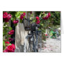 Bicycles and roses in Sweden Cards