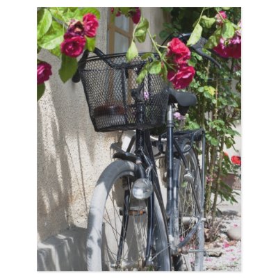 Bicycles and roses in Sweden Personalized Flyer by arnet17