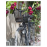 Bicycles and roses in Sweden Personalized Flyer