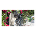 Bicycles and roses in Sweden Photo Cards