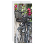Bicycles and roses in Sweden Full Color Rack Card