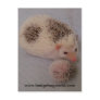 Big and little spots postcard