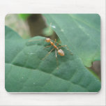 Big Ant Mouse Pad