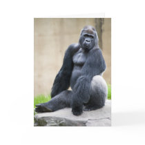 Big Ape card