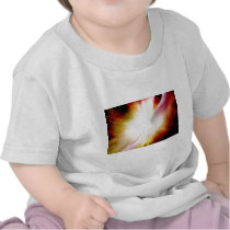 Big Bang Theory Shirt
