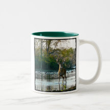 Big Beautiful Buck Mug
