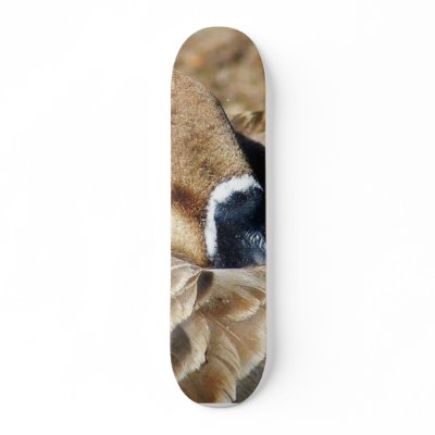 Big Beautiful Goose Geese Feathers Custom Skate Board by lifesphere