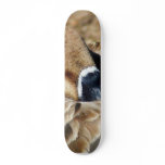 Big Beautiful Goose Geese Feathers skateboards