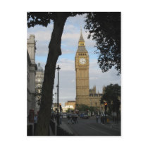 Big Ben Through the Tree Postcard