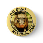 Big Bend National Park Pinback Button