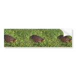 Big Bend Slider Bumper Sticker