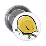 big bird pins