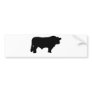 big black angus bull bumper sticker