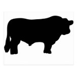 big black angus bull post cards