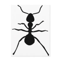 big black ant icon post card
